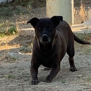 Meet your Posher, Ana